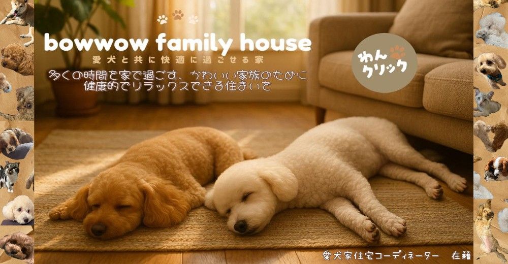 愛犬と共に快適に過ごせる家